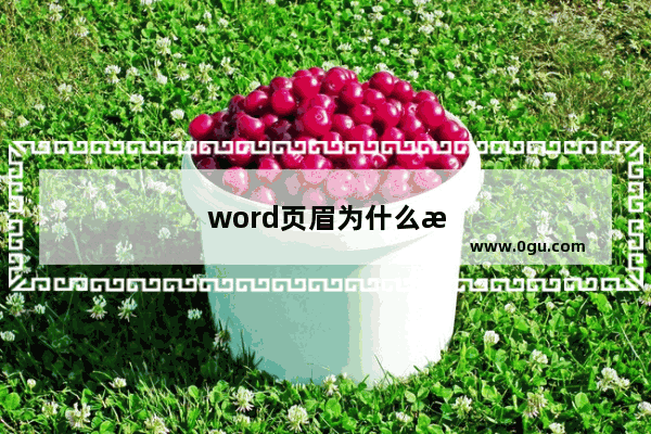 word页眉为什么显示不全