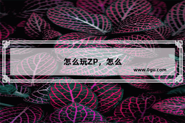 怎么玩ZP，怎么玩zppo打火机