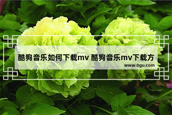 酷狗音乐如何下载mv 酷狗音乐mv下载方法