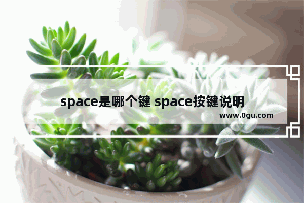 space是哪个键 space按键说明