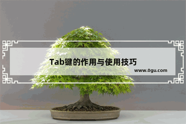 Tab键的作用与使用技巧
