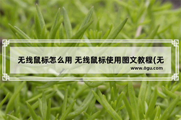 无线鼠标怎么用 无线鼠标使用图文教程(无线鼠标+蓝牙鼠标)
