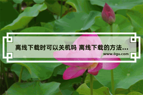 离线下载时可以关机吗 离线下载的方法介绍