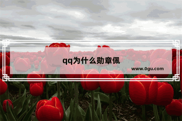 qq为什么勋章佩戴了不显示