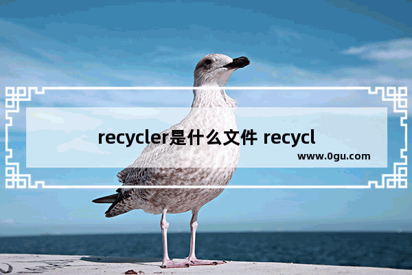 recycler是什么文件 recycler有什么作用