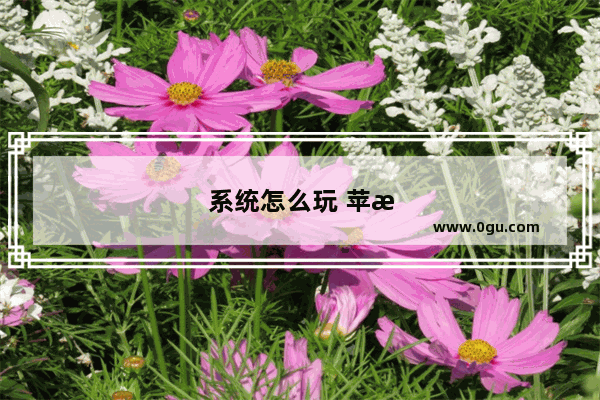 系统怎么玩 苹果系统怎么玩dnf韩服