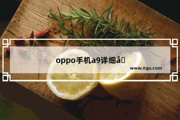 oppo手机a9详细参数