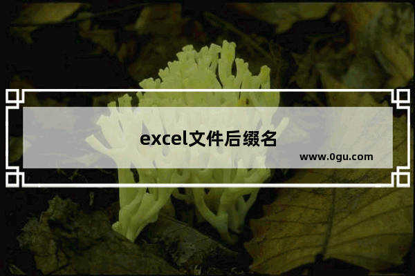 excel文件后缀名 wps excel文件后缀名