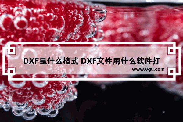 DXF是什么格式 DXF文件用什么软件打开