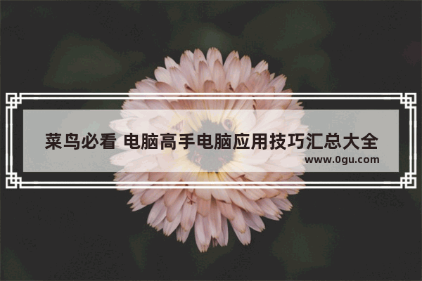 菜鸟必看 电脑高手电脑应用技巧汇总大全