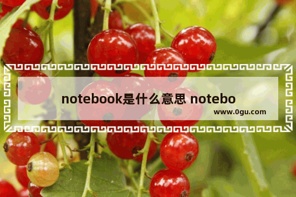 notebook是什么意思 notebook的简介