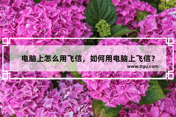 电脑上怎么用飞信，如何用电脑上飞信？