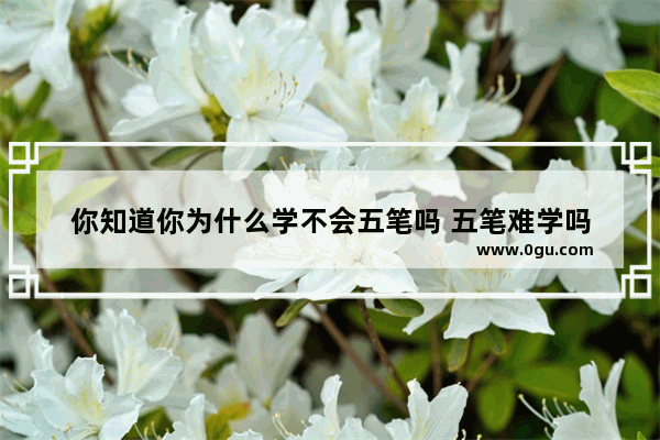 你知道你为什么学不会五笔吗 五笔难学吗