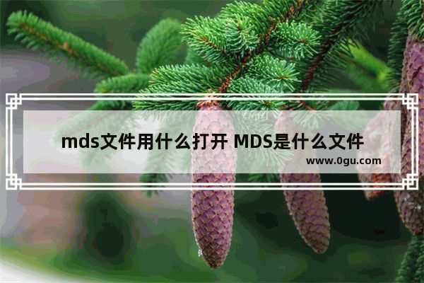 mds文件用什么打开 MDS是什么文件