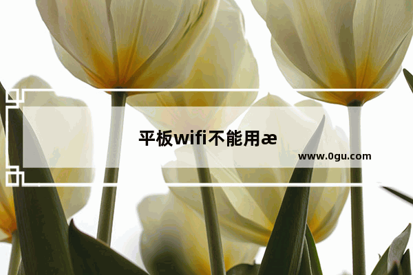 平板wifi不能用怎么修
