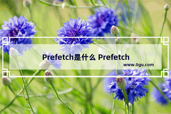 Prefetch是什么 Prefetch文件夹功能介绍