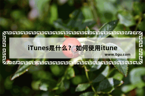 iTunes是什么？ 如何使用itunes软件！苹果专用同步工具