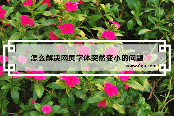 怎么解决网页字体突然变小的问题