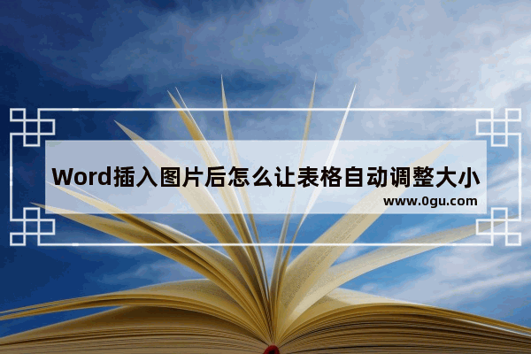 Word插入图片后怎么让表格自动调整大小 Word插入图片后表格自动调整大小的方法