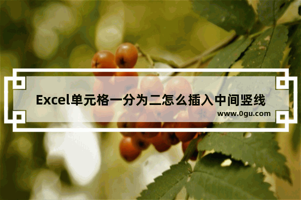 Excel单元格一分为二怎么插入中间竖线 Excel单元格一分为二插入中间竖线的方法