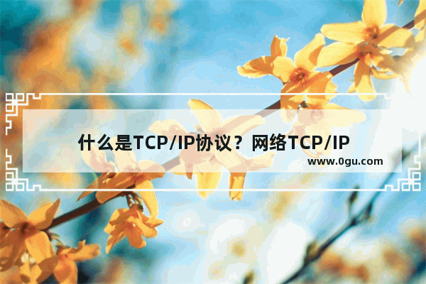 什么是TCP/IP协议？网络TCP/IP协议详解