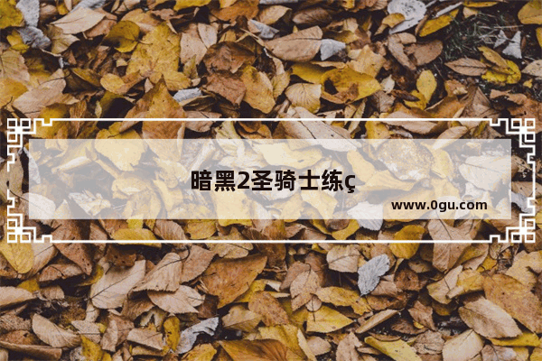 暗黑2圣骑士练级用什么天赋