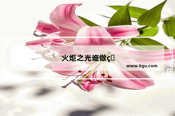 火炬之光谁做的