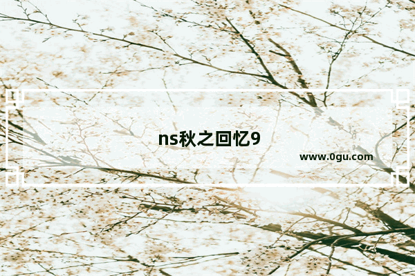 ns秋之回忆9