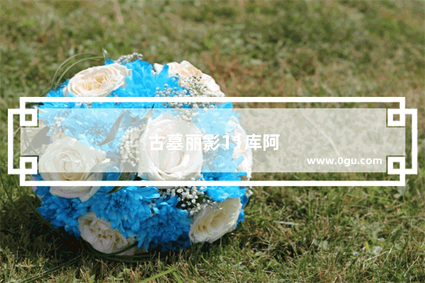 古墓丽影11库阿克雅库