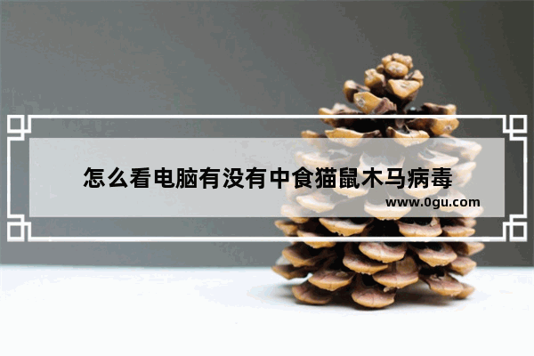 怎么看电脑有没有中食猫鼠木马病毒