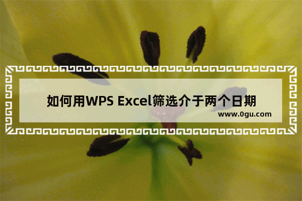 如何用WPS Excel筛选介于两个日期之间的数据 WPS Excel筛选介于两个日期之间的数据的方法