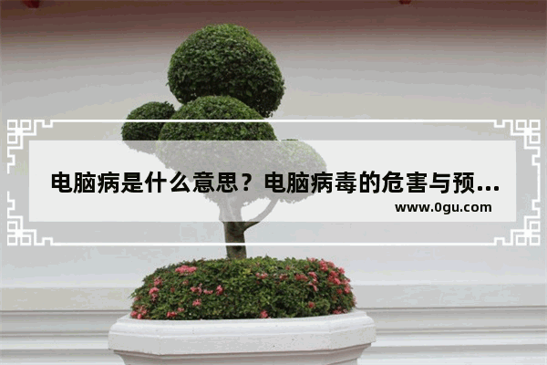 电脑病是什么意思？电脑病毒的危害与预防措施详细介绍