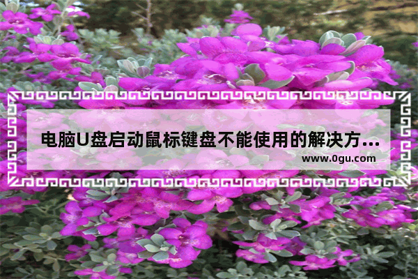 电脑U盘启动鼠标键盘不能使用的解决方法 BIOS设置启用鼠标键盘