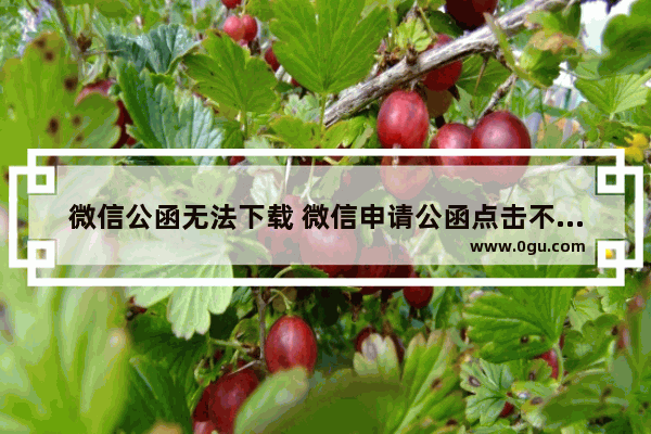 微信公函无法下载 微信申请公函点击不出现页面的解决方法