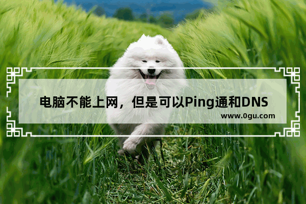 电脑不能上网，但是可以Ping通和DNS解析解决办法
