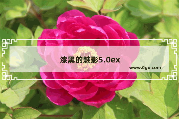 漆黑的魅影5.0ex+bw攻略，口袋妖怪漆黑的魅影5.0ex+bw攻略盖欧卡