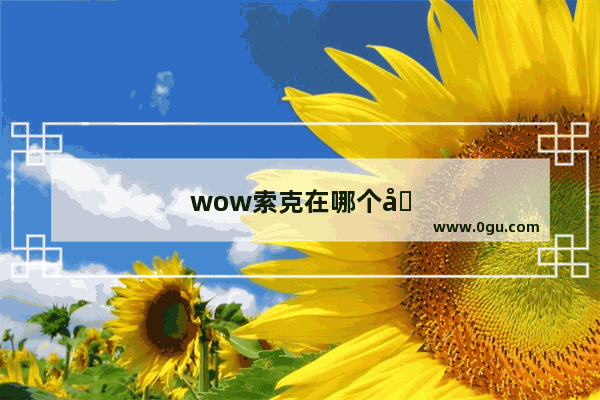 wow索克在哪个副本