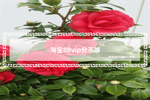 淘宝88vip分不够怎么办
