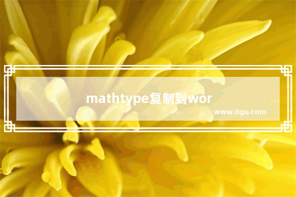 mathtype复制到word中出错