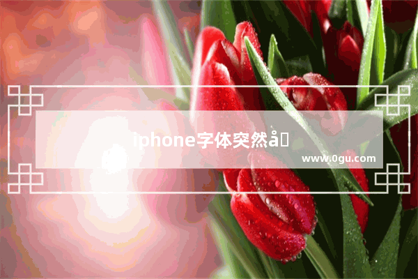 iphone字体突然变大无法关机