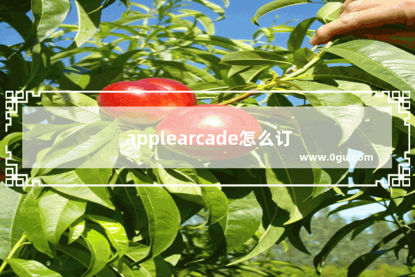 applearcade怎么订阅