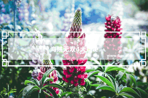 海贼无双4大妈怎么解锁