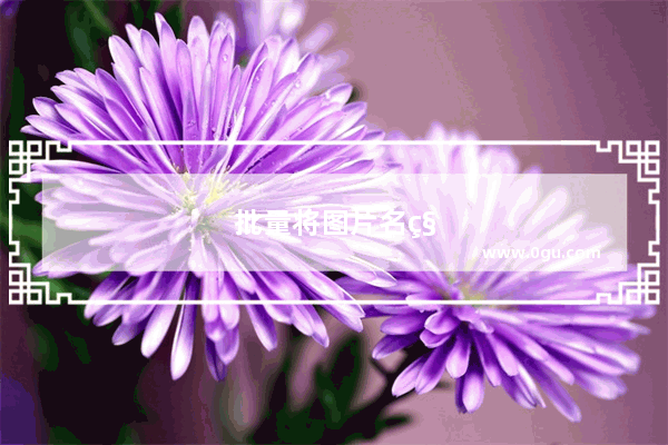 批量将图片名称变成表格