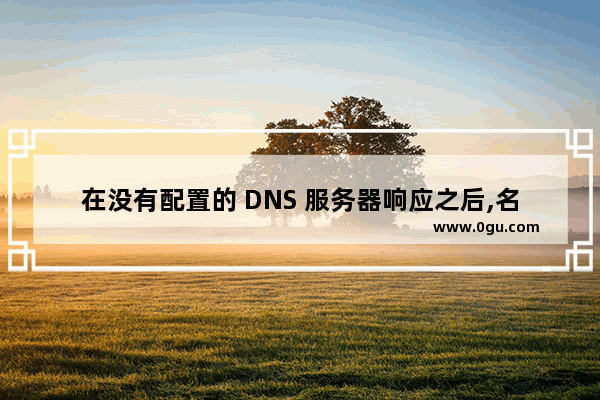 在没有配置的 DNS 服务器响应之后,名称域名的名称解析超时问题的解决方法