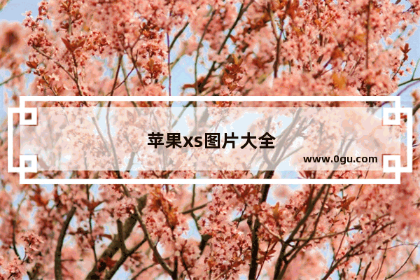 苹果xs图片大全大图