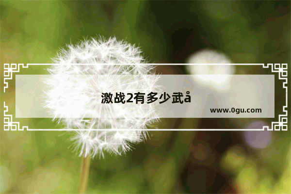 激战2有多少武器