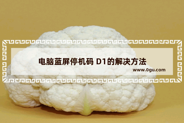 电脑蓝屏停机码 D1的解决方法