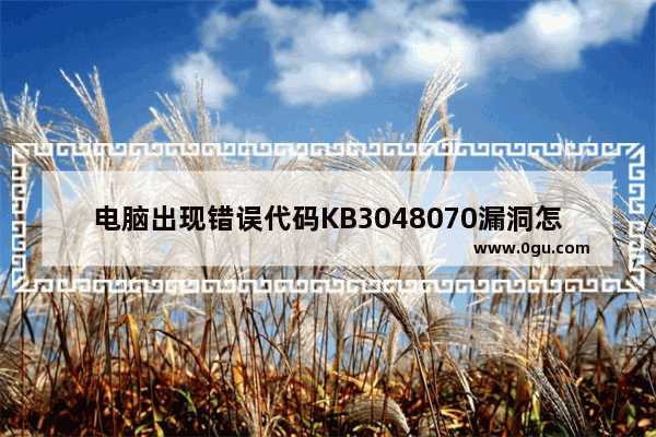 电脑出现错误代码KB3048070漏洞怎么修复？