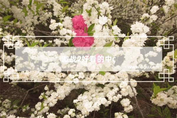 激战2好看的中甲