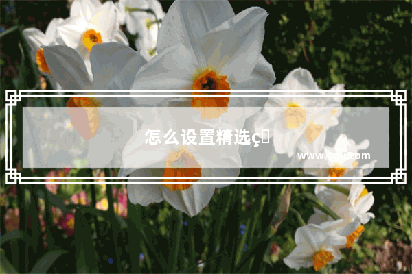 怎么设置精选照片，苹果怎么设置精选照片显示